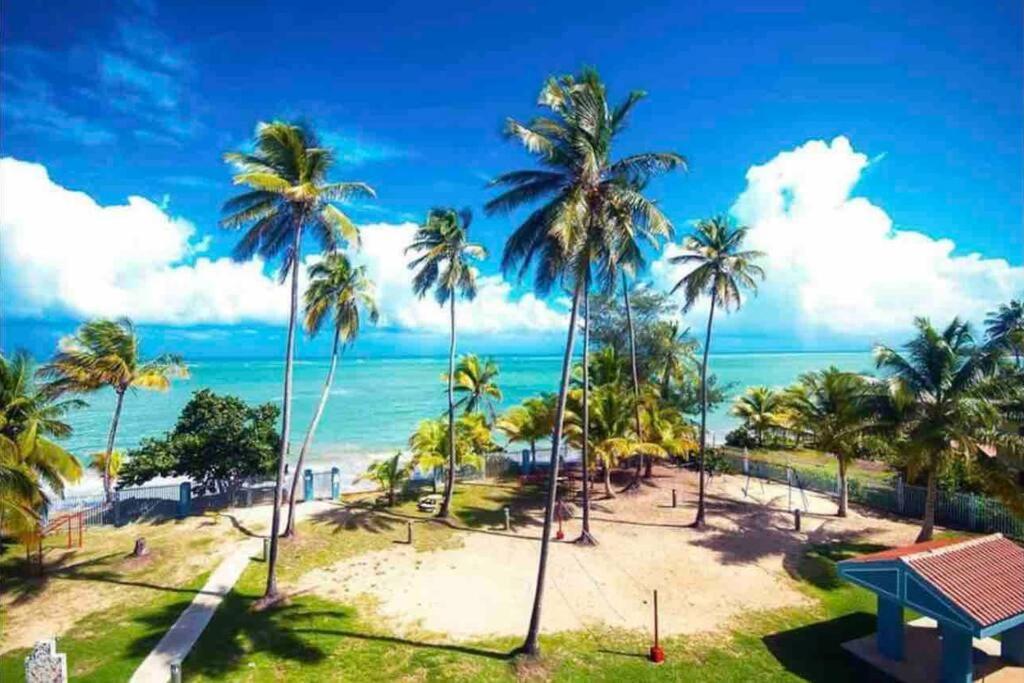 3Bedrm Beach Penthouse With Rooftop Terrace & Wifi Ріо-Гранде Екстер'єр фото